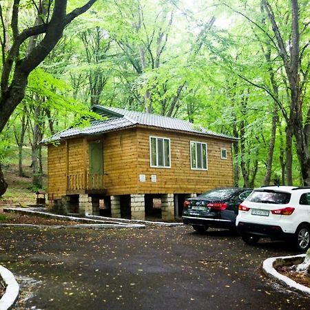 Ekran Eco Forest Resort Quba Zewnętrze zdjęcie