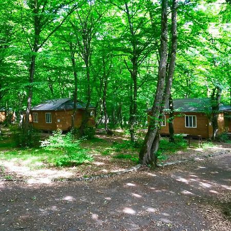 Ekran Eco Forest Resort Quba Zewnętrze zdjęcie