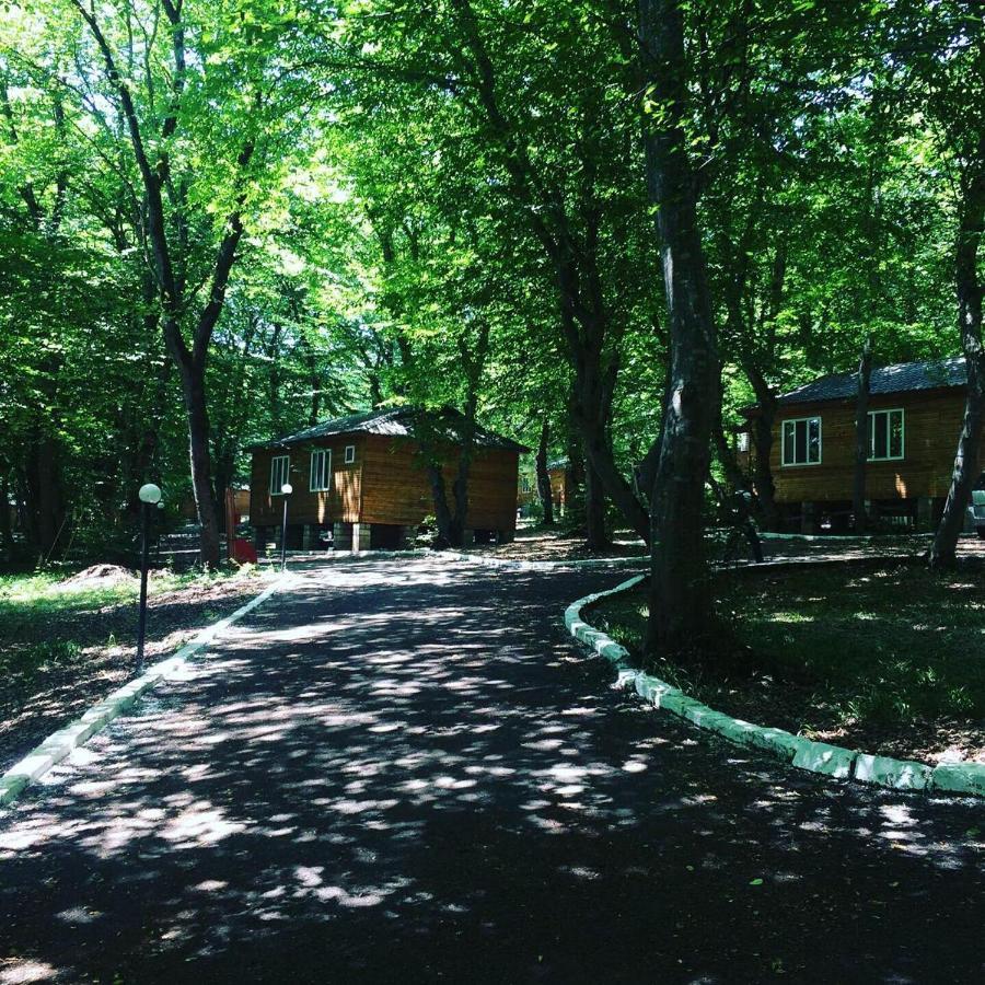 Ekran Eco Forest Resort Quba Zewnętrze zdjęcie