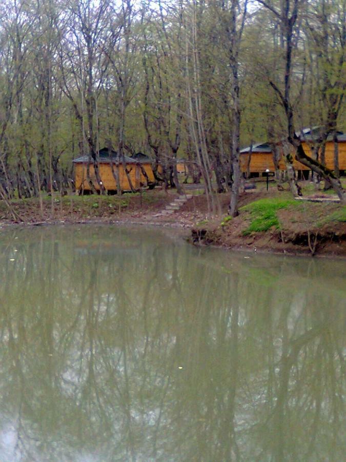 Ekran Eco Forest Resort Quba Zewnętrze zdjęcie