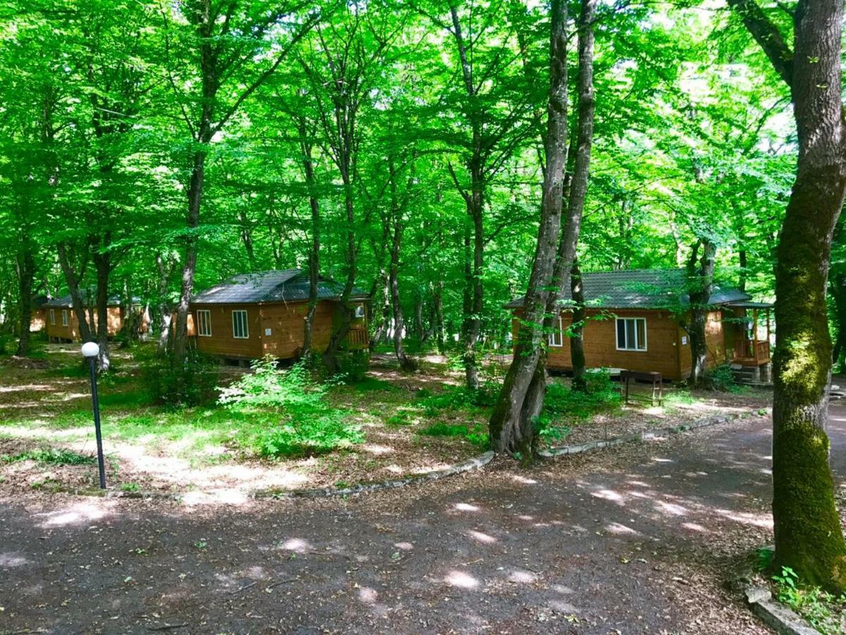 Ekran Eco Forest Resort Quba Zewnętrze zdjęcie