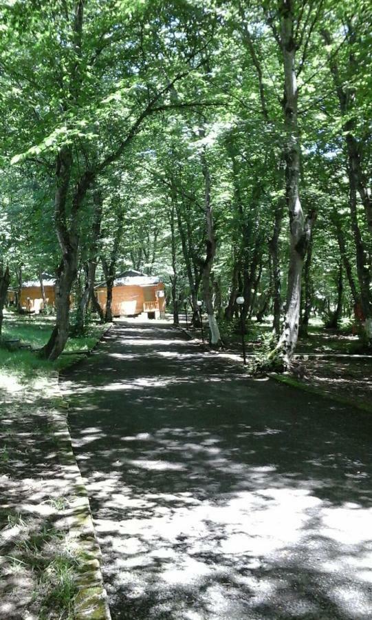 Ekran Eco Forest Resort Quba Zewnętrze zdjęcie