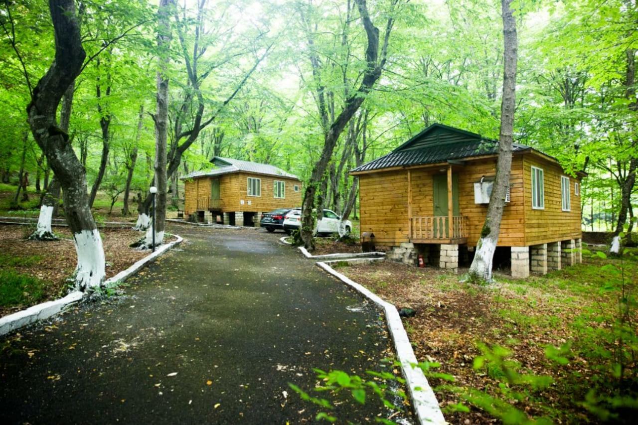 Ekran Eco Forest Resort Quba Zewnętrze zdjęcie