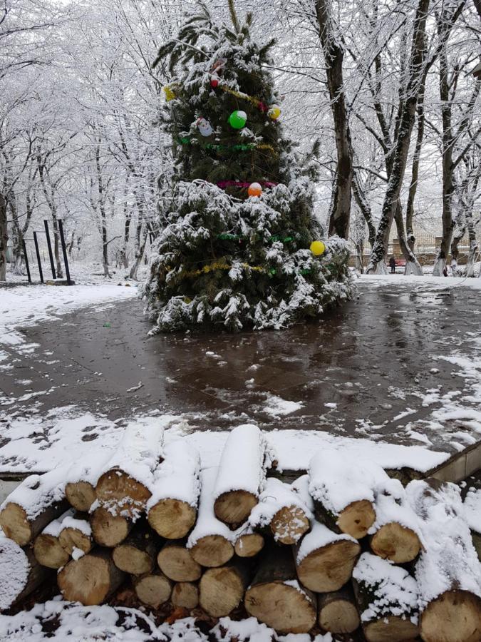 Ekran Eco Forest Resort Quba Zewnętrze zdjęcie