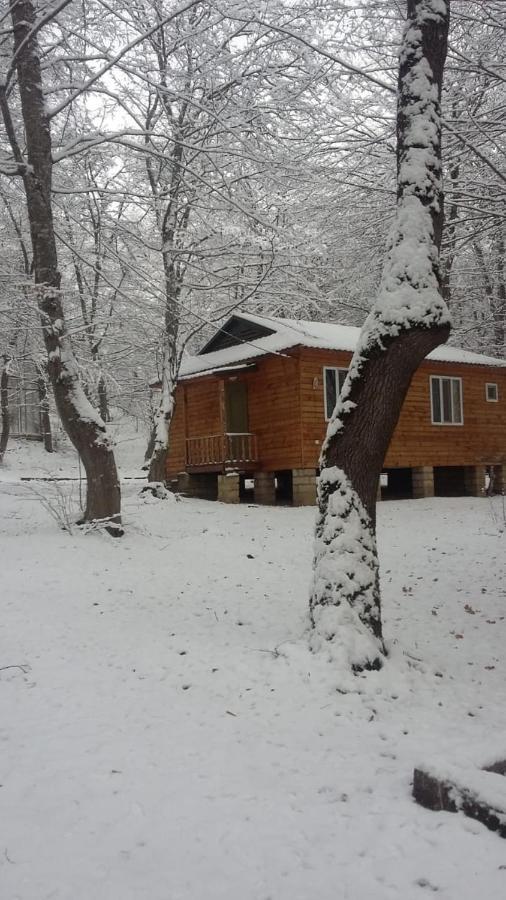 Ekran Eco Forest Resort Quba Zewnętrze zdjęcie